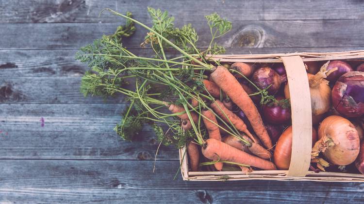 Fresh veggie doorstep delivery