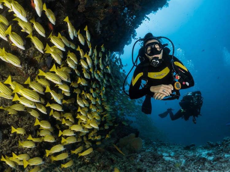 Try your hand at scuba diving