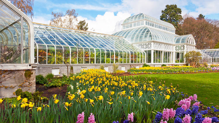 Volunteer Park Conservatory 