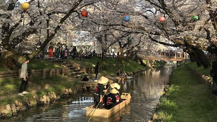 Kawagoe Shingashi River