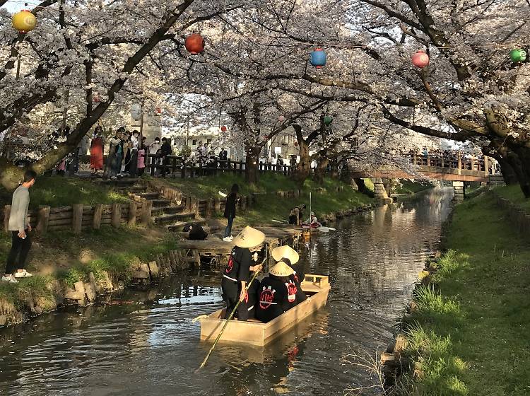 Kawagoe Shingashi River