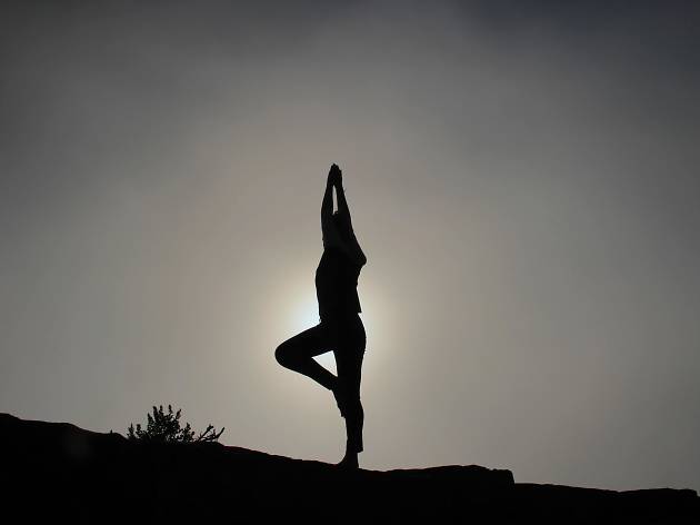 yoga yoga