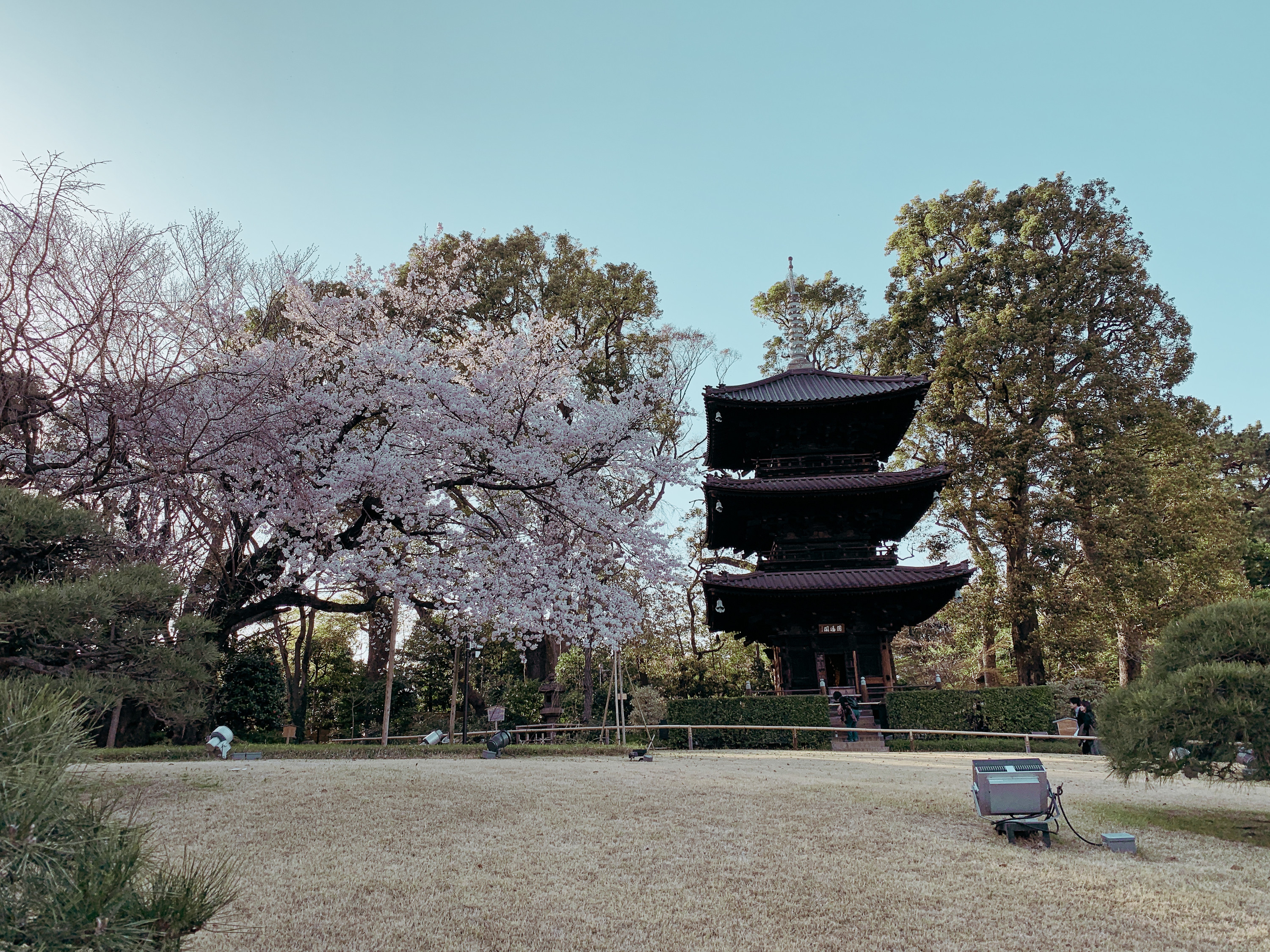 The least crowded places in Tokyo | Time Out Tokyo