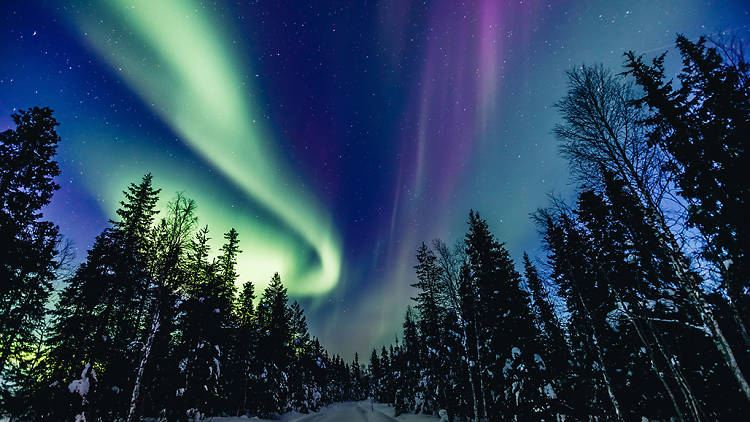 Northern Lights (aurora borealis) live streams