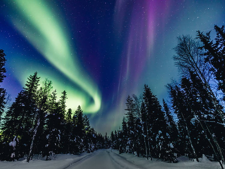 Live-stream the Northern Lights