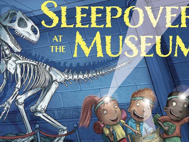 Time In Virtual Storytime: "Sleepover at the Museum" by Karen LeFrak Sleepover at the Museum