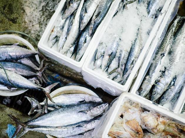 peixe peixe, peixe fresco