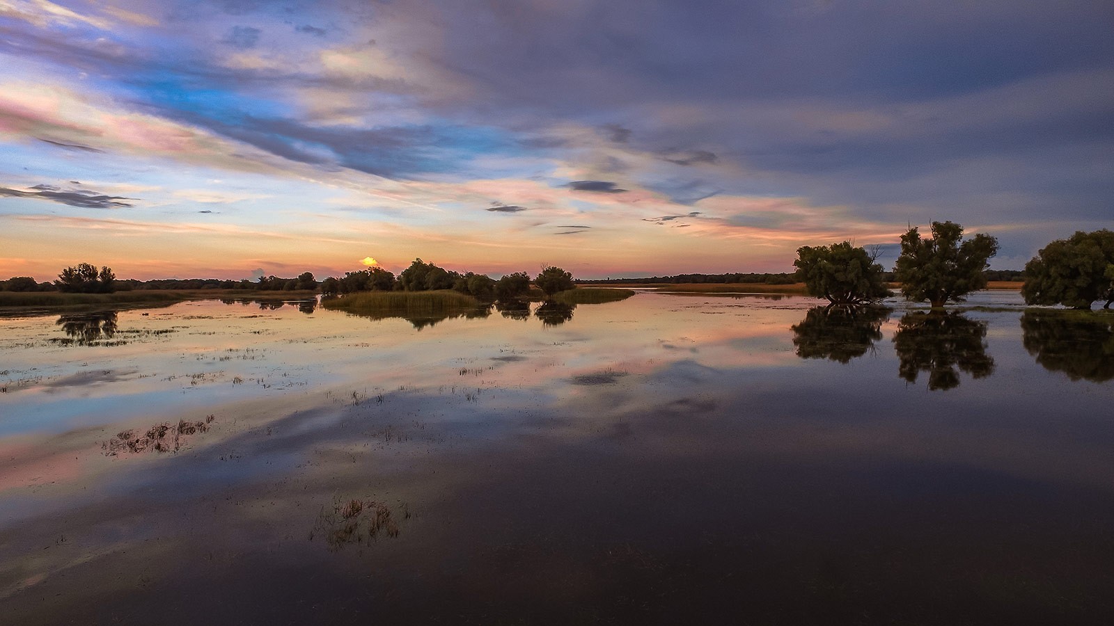 Kopački Rit Nature Park at dusk