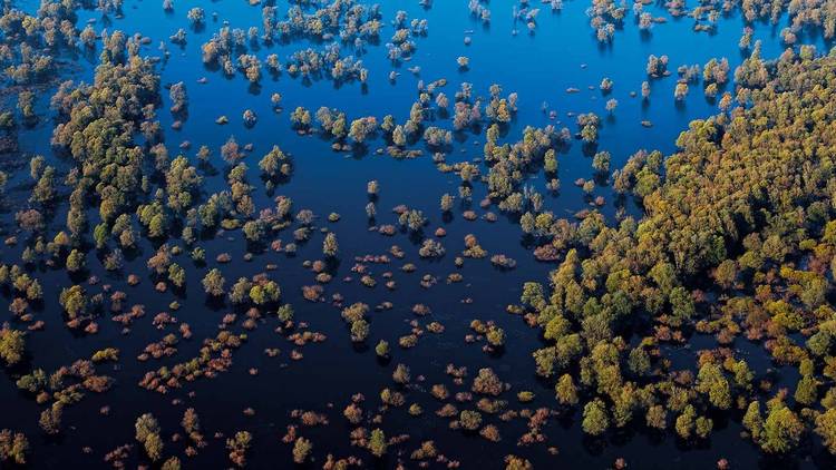 Lonja Field Nature Park in Sisak-Moslavina county