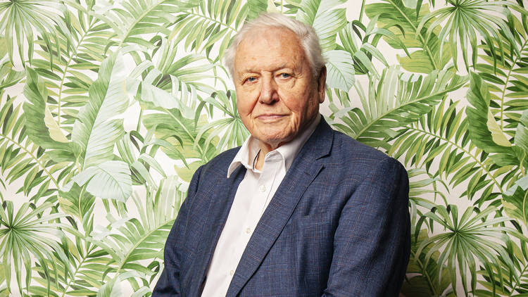 David Attenborough Royal Albert Hall