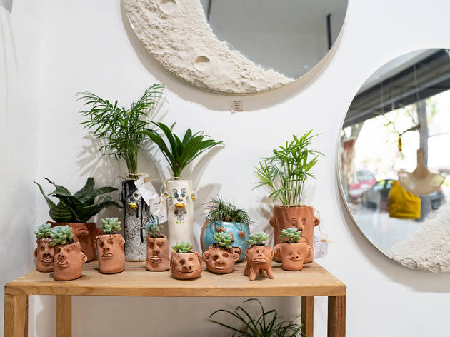 Plantas y macetas Plantas y macetas en home