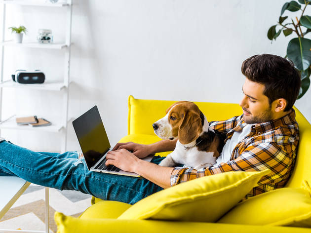 Hombre joven haciendo home office con su perro