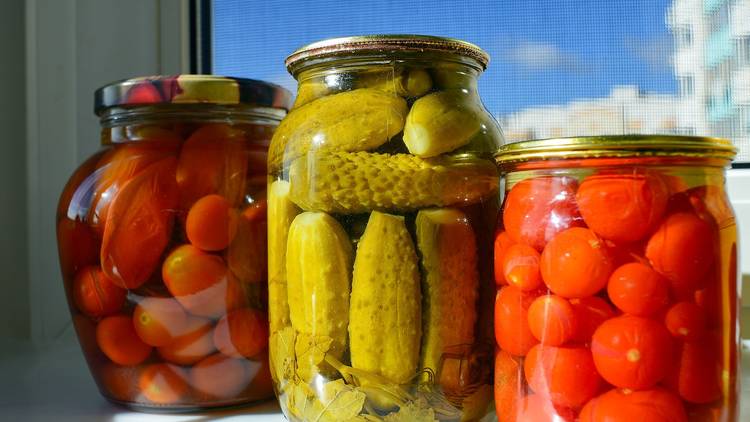 Fermenting jars in the sun