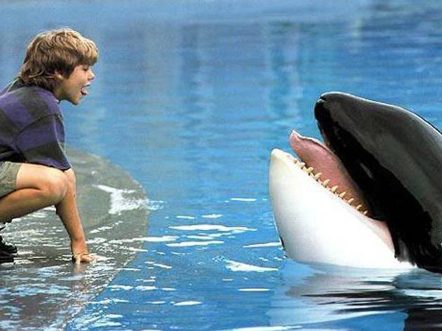 Liberar a Willy Liberar a Willy