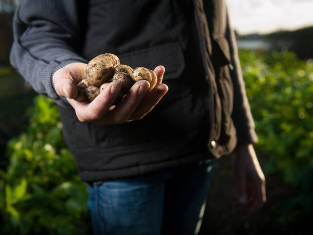 Despite their own economic struggles, family farms in Croatia help communities in need Farm