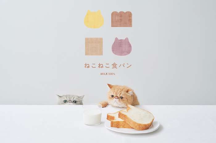ねこねこ食パン 表参道店