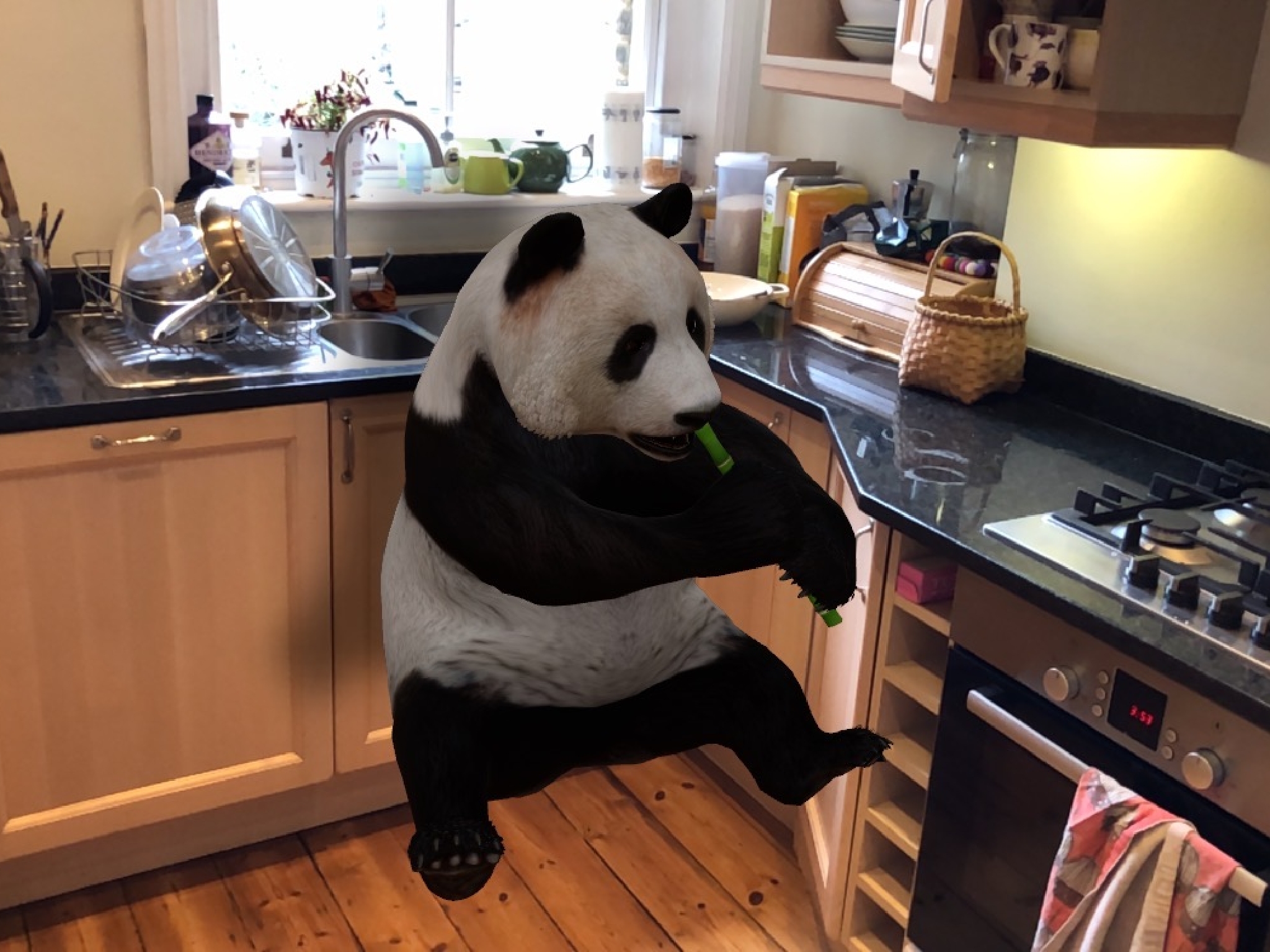 See how to bring 3D animals into your home with Google, through augmented  reality