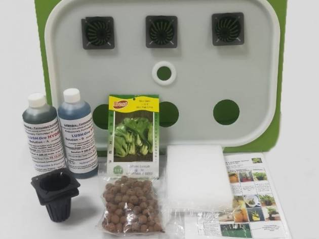 Eco City Hydroponics Eco City Hydroponics