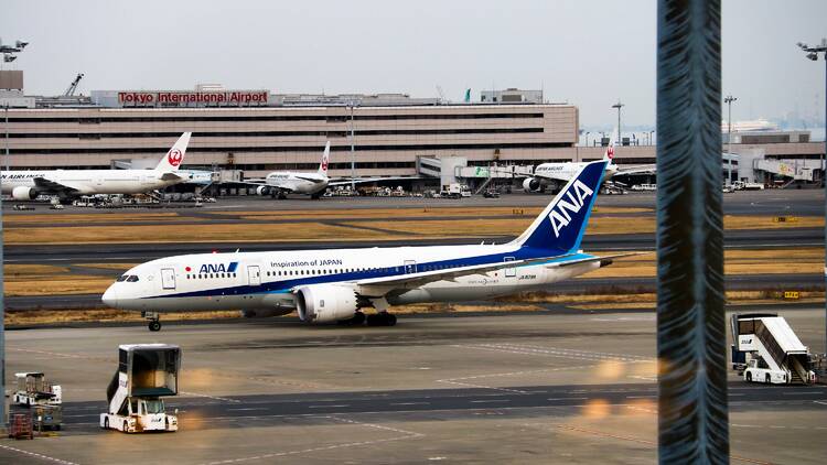 All Nippon Airways (ANA) 