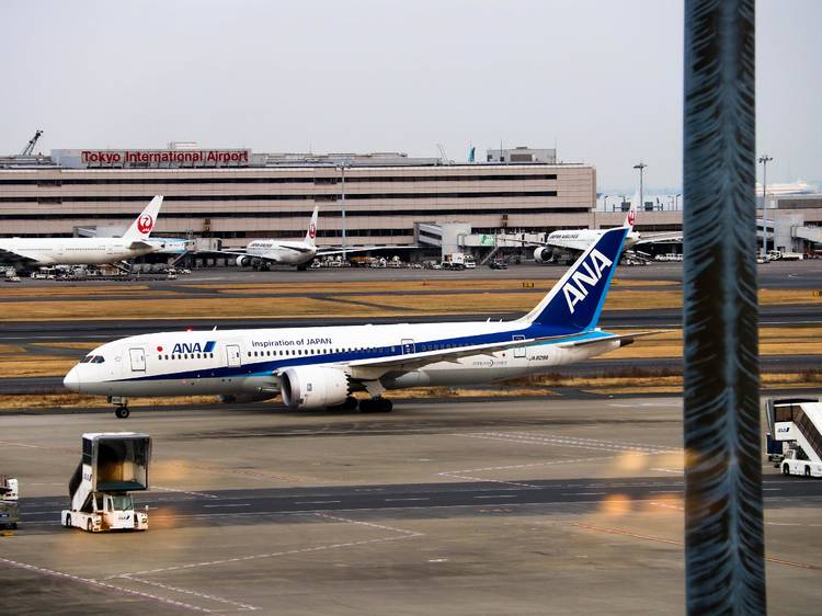 All Nippon Airways (ANA) 