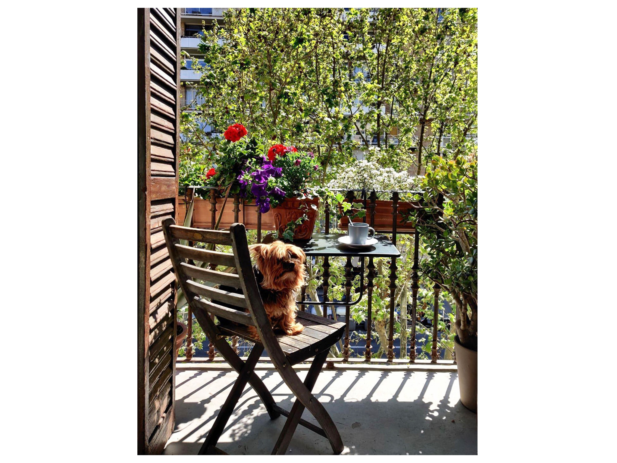 Balcons de Barcelona
