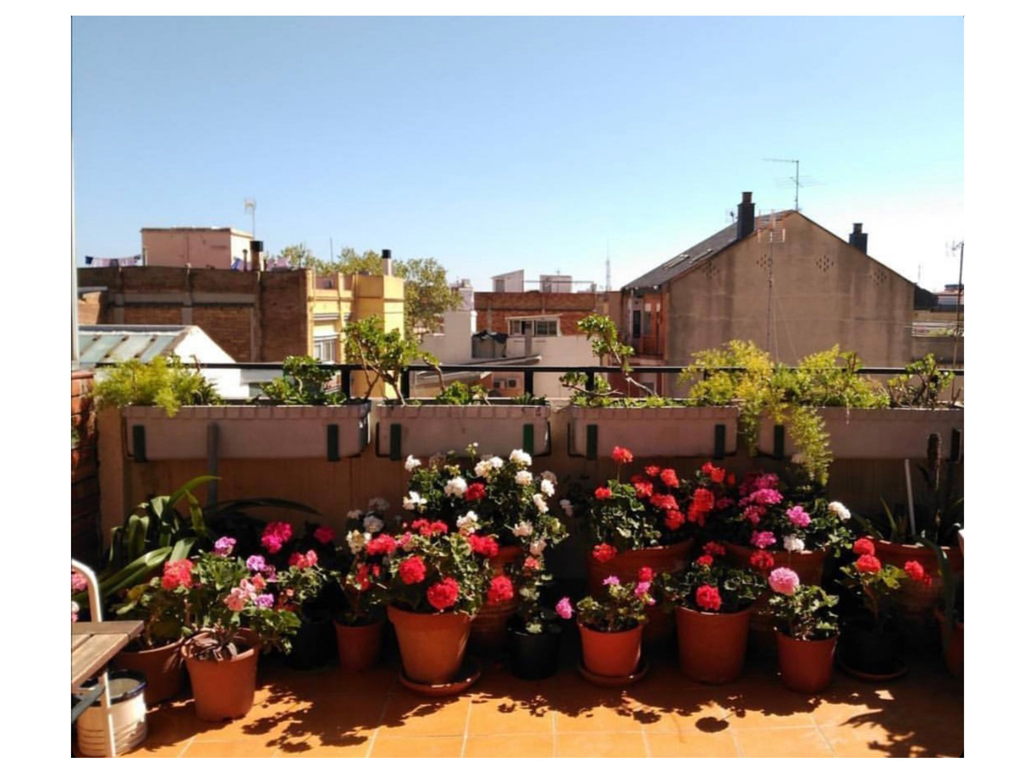Balcons de Barcelona