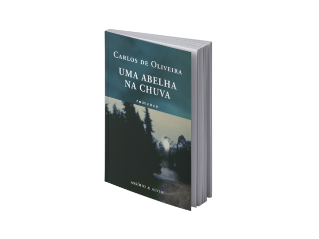 Uma abelha na chuva esteiros