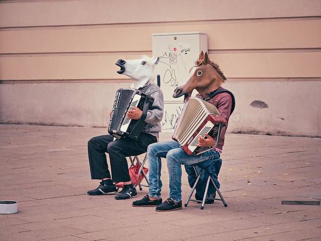 horse masks horse masks