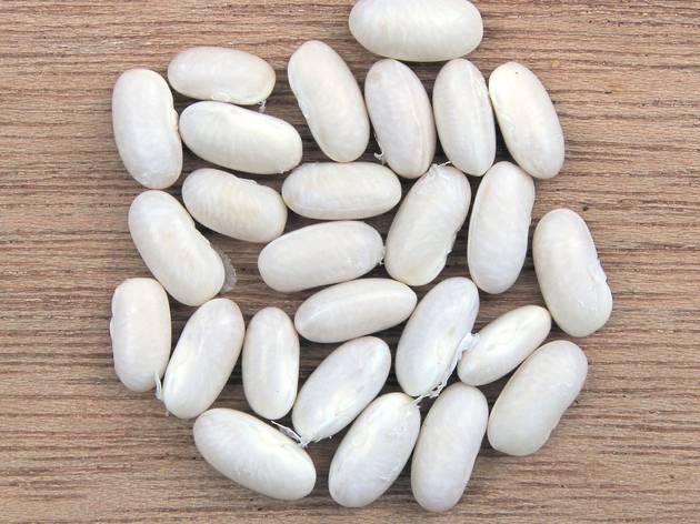 Feijão Branco Vegetal, Feijão Branco, Phaseolus vulgaris