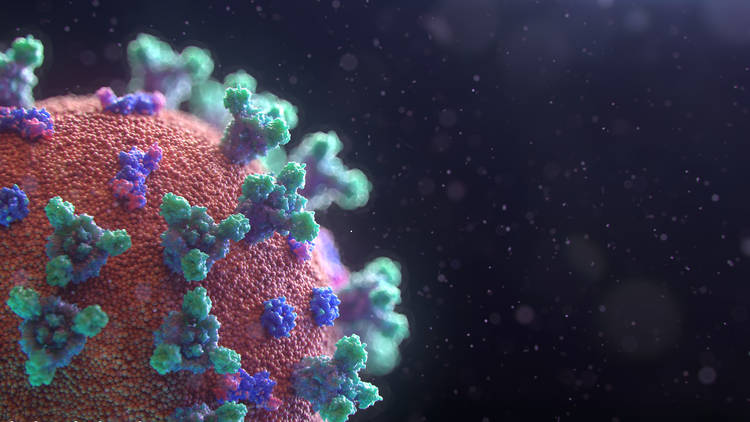 Corona Virus graphic