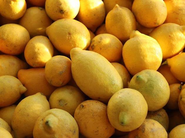 Alma da Fruta Alma da Fruta