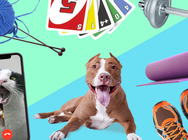Time Out isolation sane collage Collage of knitting, dogs, uno, running shoes