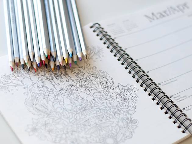 Colouring pencils and book Colouring pencils and book