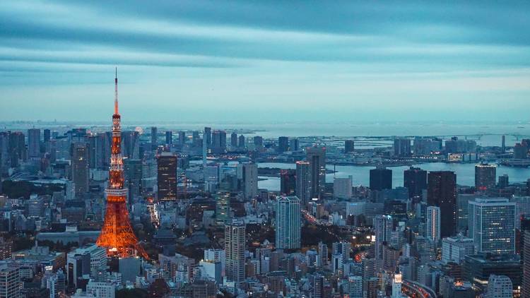 Tokyo cityscape, dusk