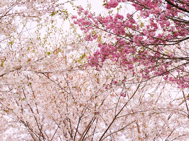 Photo:keisuke Tanigawa
