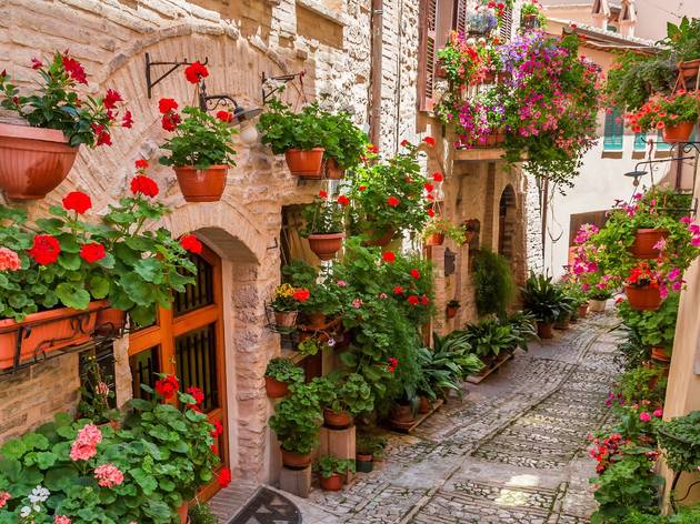 Um lugar ao sol: as melhores plantas para ter em casa Um lugar ao sol: as melhores plantas para ter em casa