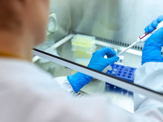 Instituto de Medicina Molecular IMM