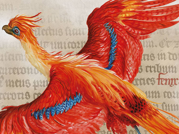 Tour the “Harry Potter: A History of Magic”