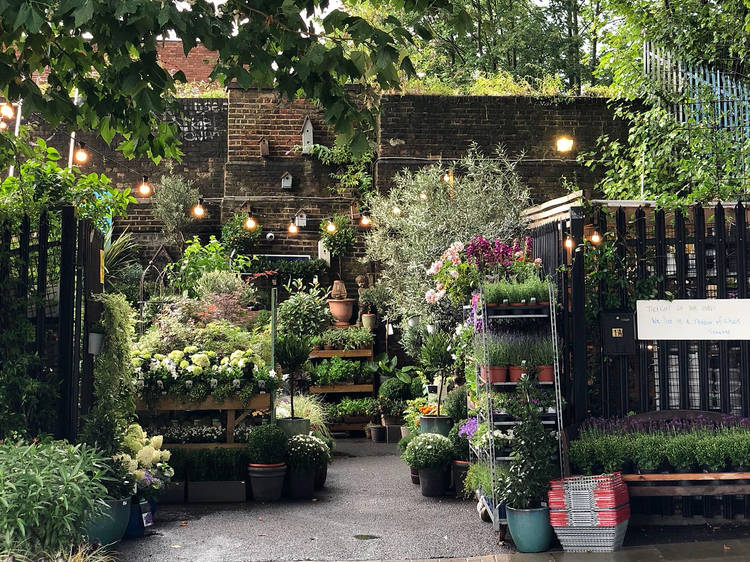 London’s local garden centres delivering plants London’s local garden centres delivering plants