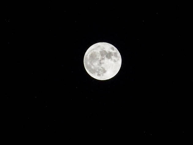Super moon (English) Super moon