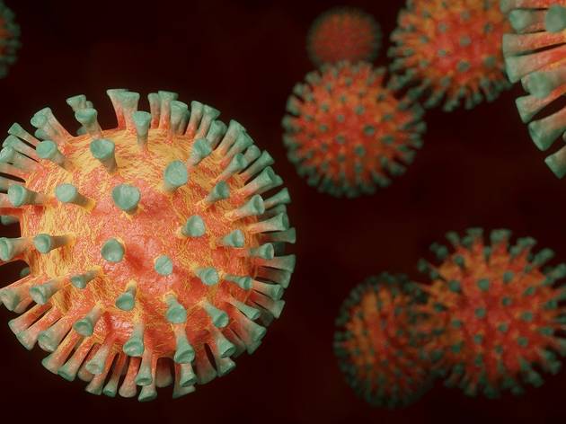 Coronavirus Coronavirus