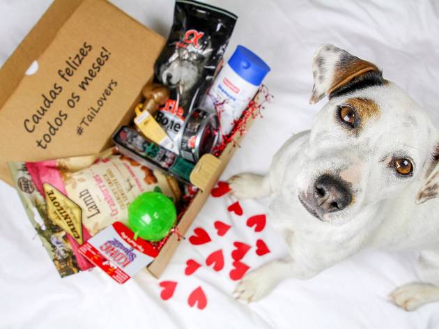 caixas de subscrição para animais tailovers