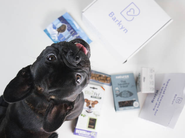 caixas de subscrição para animais Barkyn