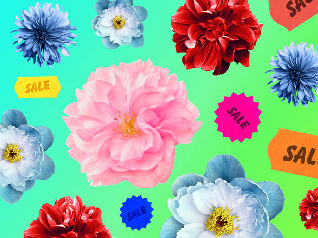 The cancelled Chelsea Flower Show is now selling thousands of plants online Illustration: Time Out
