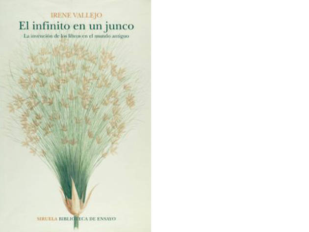 'El infinito en un junco', de Irene Vallejo 'El infinito en un junco', de Irene Vallejo