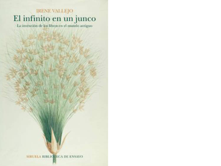 'El infinito en un junco', de Irene Vallejo