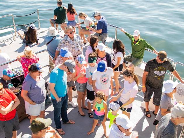 Turistas en embarcación para ver ballenas en México