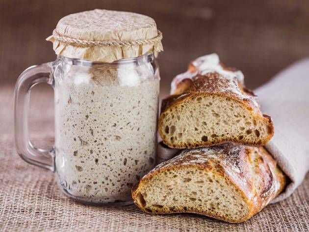 sourdough bread starter sourdough bread starter