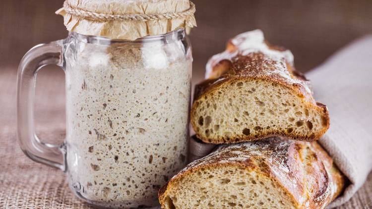 sourdough bread starter 