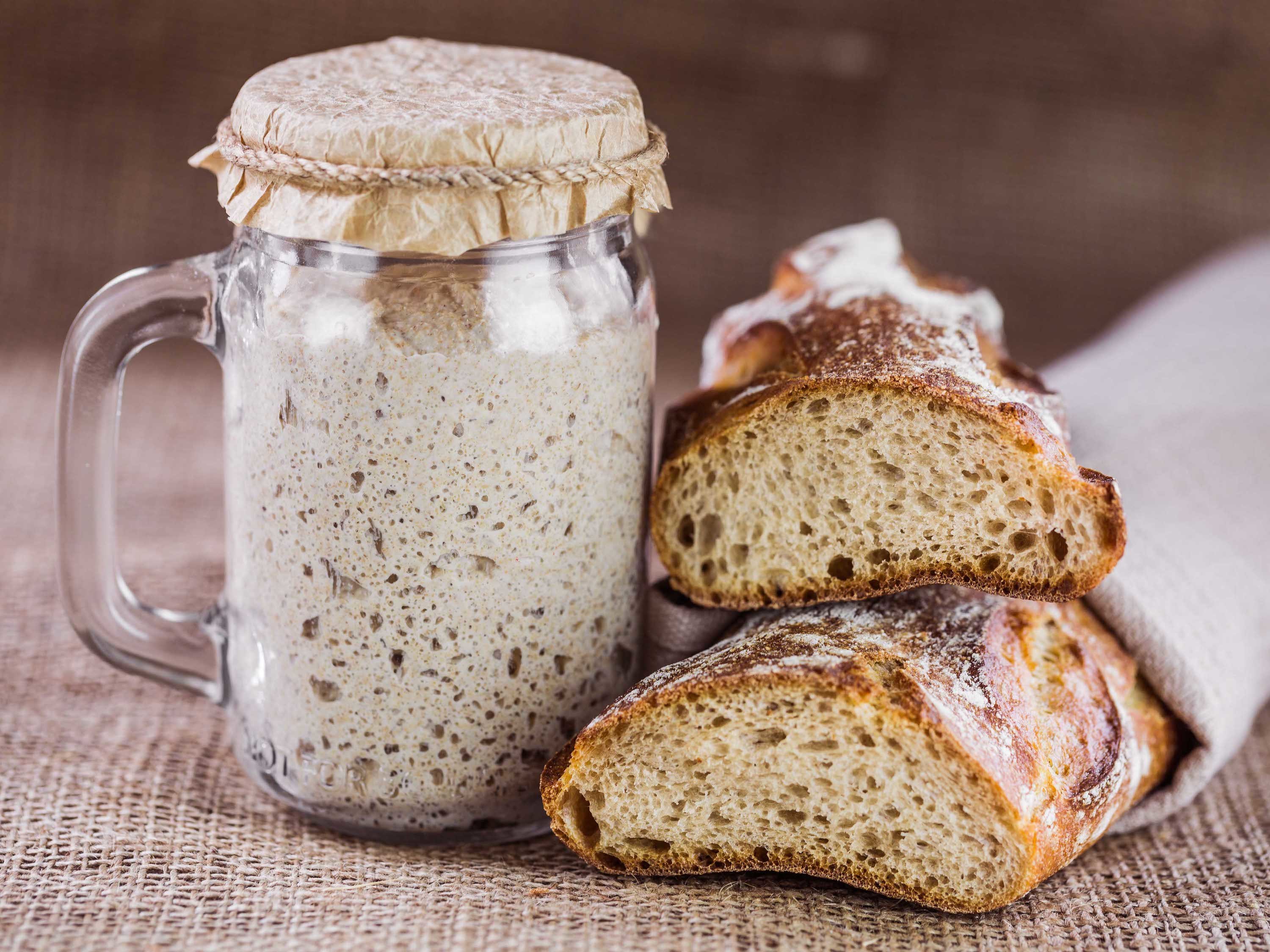 San francisco deals sourdough starter